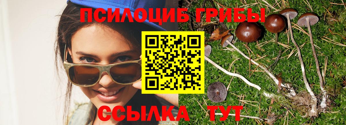 что такое   Вход с VPN  Кудымкар  Галлюциногенные грибы мухоморы 